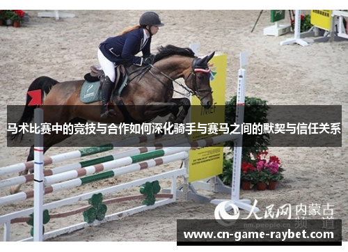 马术比赛中的竞技与合作如何深化骑手与赛马之间的默契与信任关系