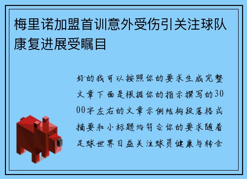 梅里诺加盟首训意外受伤引关注球队康复进展受瞩目
